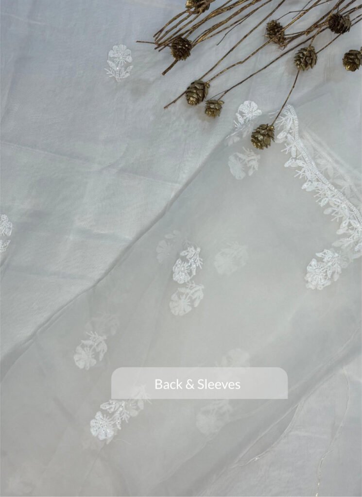Noor-e-Safa Pure Organza Silk Fabric with Fine Chikankari Floral Vine Motifs with Cut Dana & Jaal Work